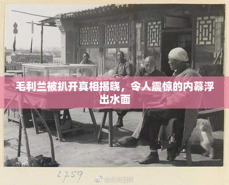 毛利兰被扒开真相揭晓，令人震惊的内幕浮出水面