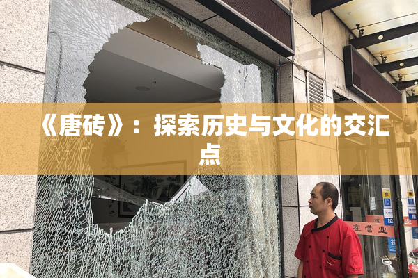 《唐砖》：探索历史与文化的交汇点