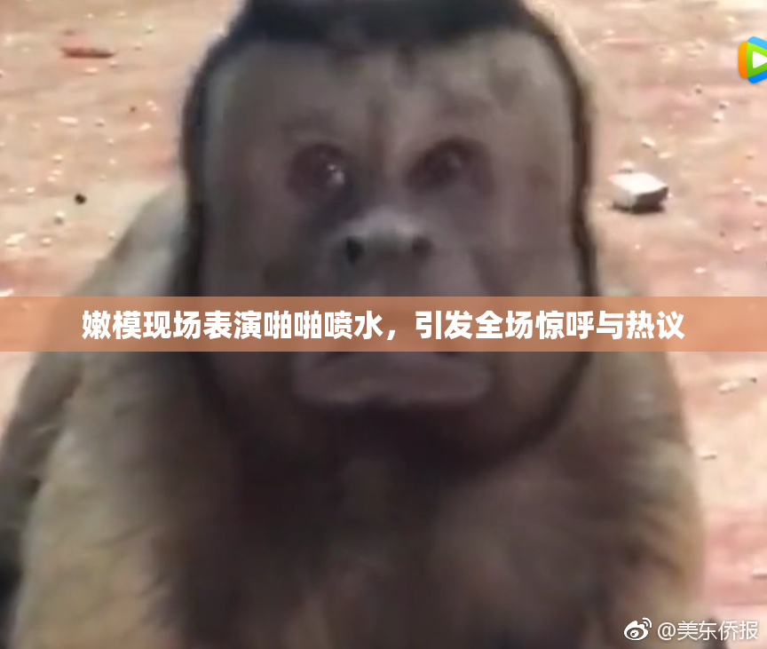 嫩模现场表演啪啪喷水，引发全场惊呼与热议