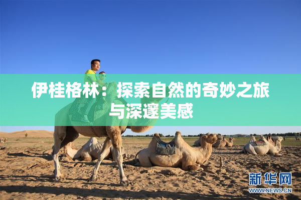 伊桂格林：探索自然的奇妙之旅与深邃美感
