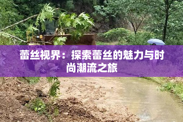 蕾丝视界：探索蕾丝的魅力与时尚潮流之旅