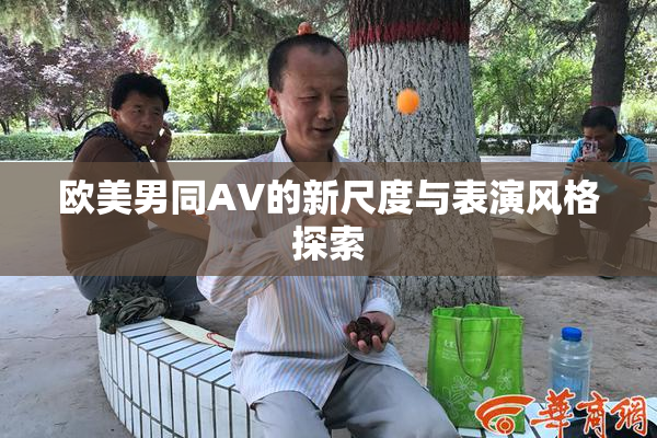 欧美男同AV的新尺度与表演风格探索