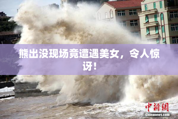 熊出没现场竟遭遇美女，令人惊讶！