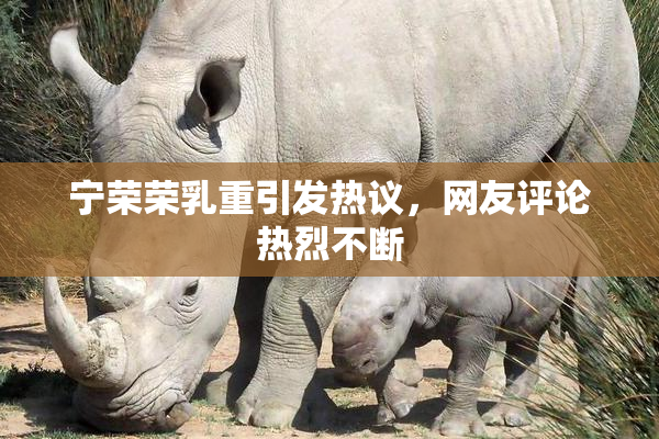 宁荣荣乳重引发热议，网友评论热烈不断