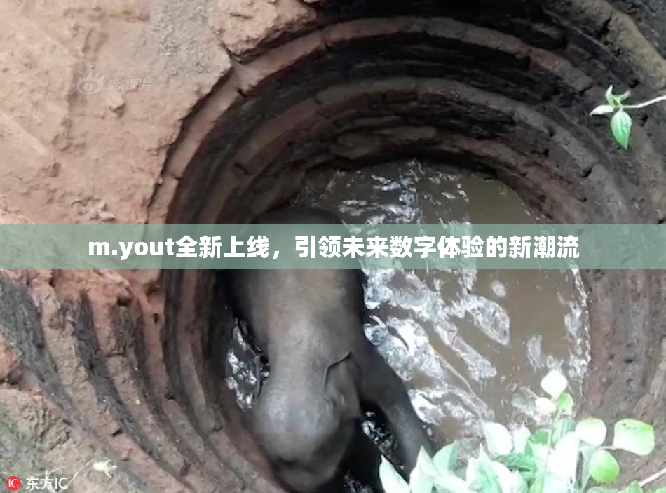 m.yout全新上线，引领未来数字体验的新潮流