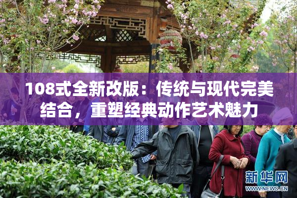 108式全新改版：传统与现代完美结合，重塑经典动作艺术魅力