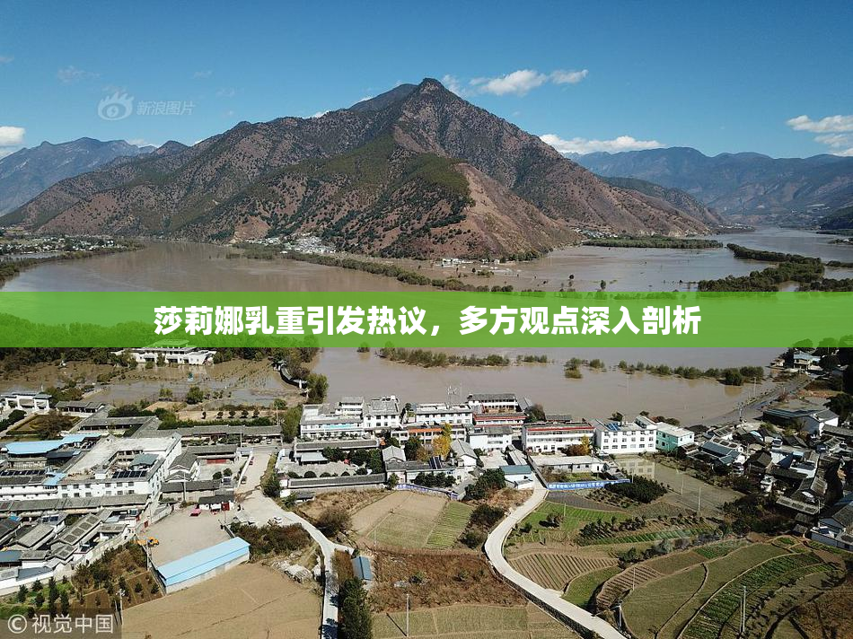 莎莉娜乳重引发热议，多方观点深入剖析