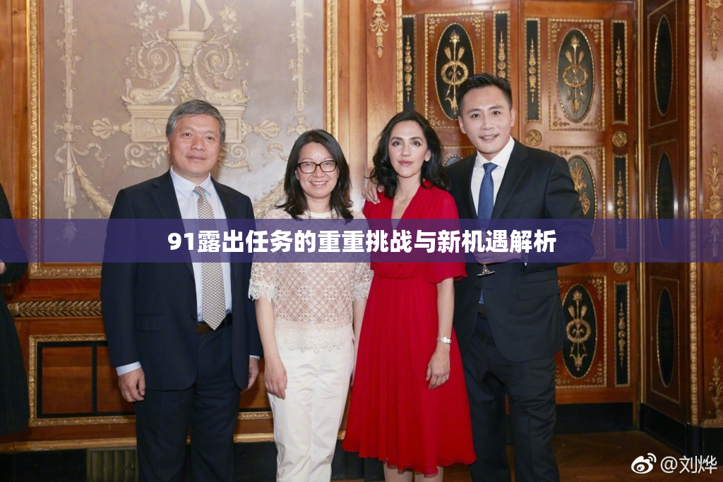 91露出任务的重重挑战与新机遇解析
