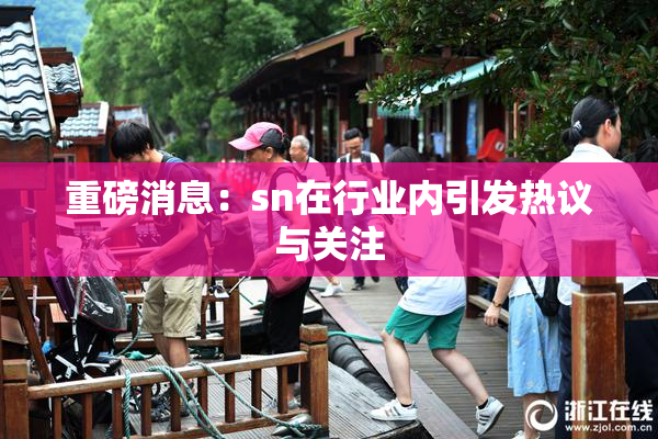 重磅消息：sn在行业内引发热议与关注