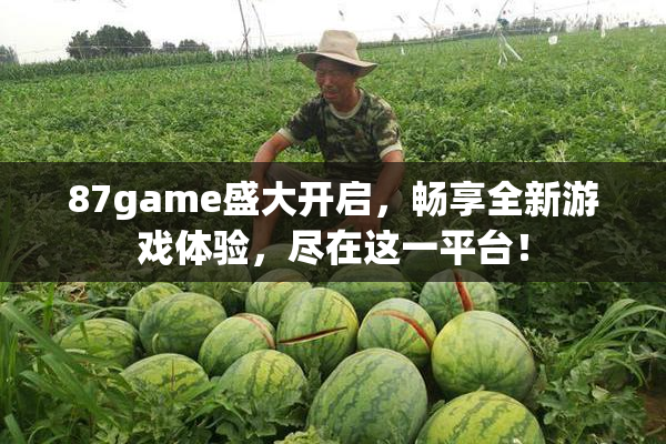 87game盛大开启，畅享全新游戏体验，尽在这一平台！