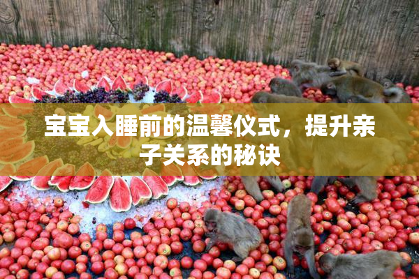 宝宝入睡前的温馨仪式，提升亲子关系的秘诀
