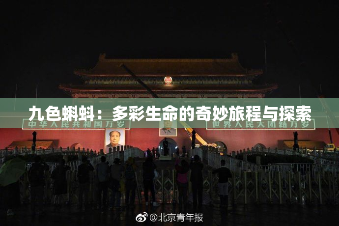 九色蝌蚪：多彩生命的奇妙旅程与探索
