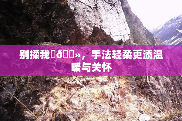 别揉我‌🐻，手法轻柔更添温暖与关怀