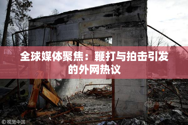全球媒体聚焦：鞭打与拍击引发的外网热议