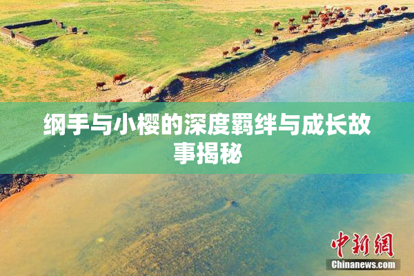 纲手与小樱的深度羁绊与成长故事揭秘