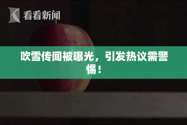 吹雪传闻被曝光，引发热议需警惕！