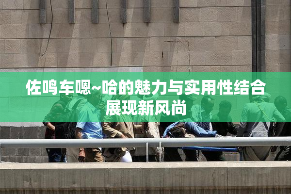 佐鸣车嗯~哈的魅力与实用性结合展现新风尚