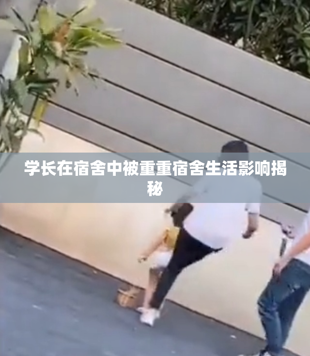 学长在宿舍中被重重宿舍生活影响揭秘