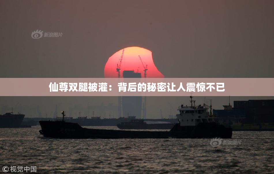 仙尊双腿被灌：背后的秘密让人震惊不已