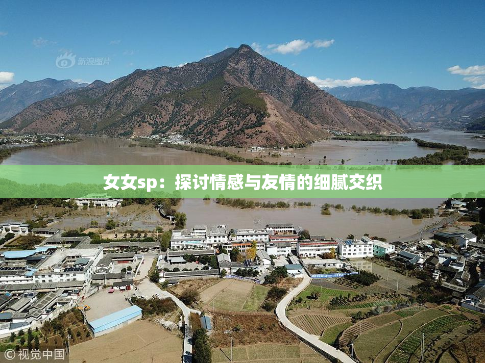 女女sp：探讨情感与友情的细腻交织