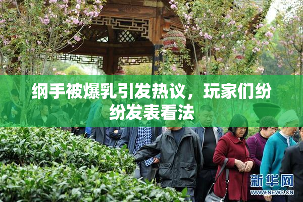 纲手被爆乳引发热议，玩家们纷纷发表看法