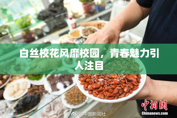 白丝校花风靡校园，青春魅力引人注目