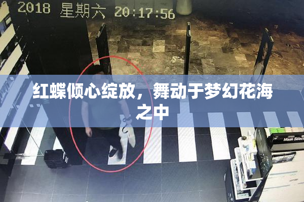 红蝶倾心绽放，舞动于梦幻花海之中