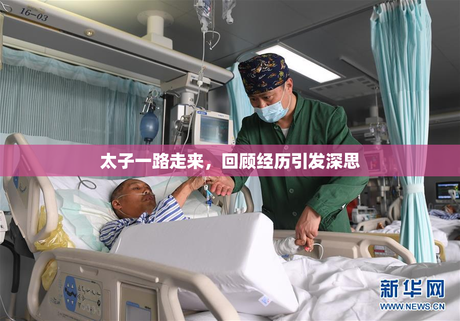 太子一路走来，回顾经历引发深思