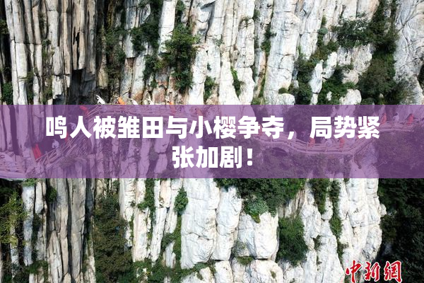 鸣人被雏田与小樱争夺，局势紧张加剧！