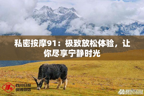 私密按摩91：极致放松体验，让你尽享宁静时光