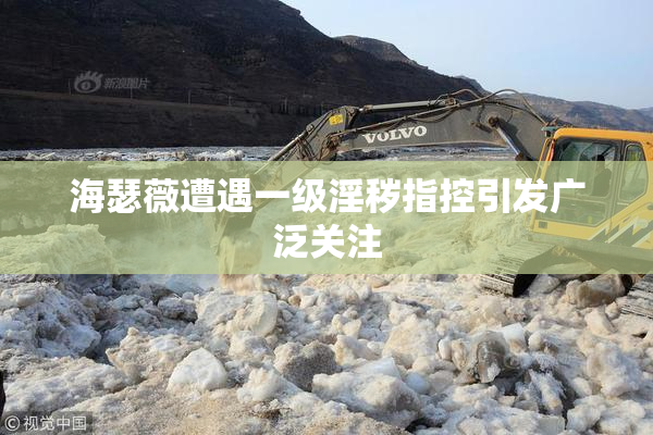 海瑟薇遭遇一级淫秽指控引发广泛关注
