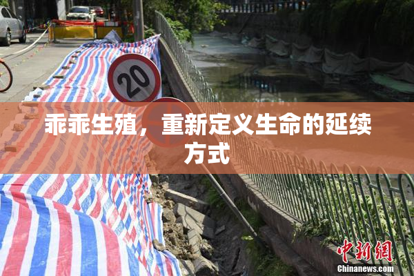 乖乖生殖，重新定义生命的延续方式