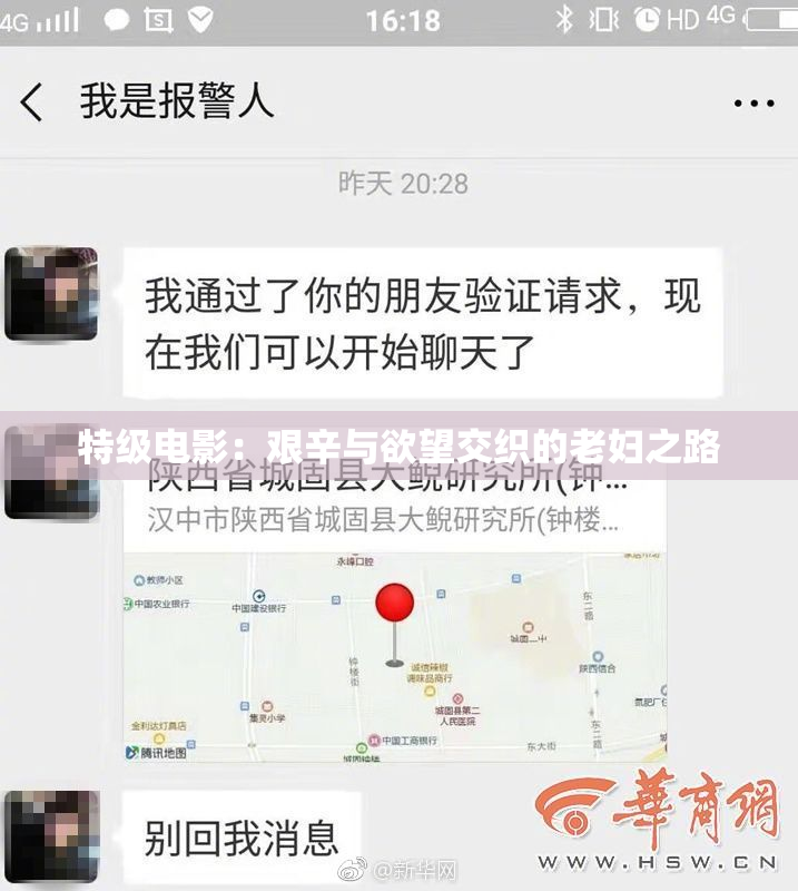 特级电影：艰辛与欲望交织的老妇之路