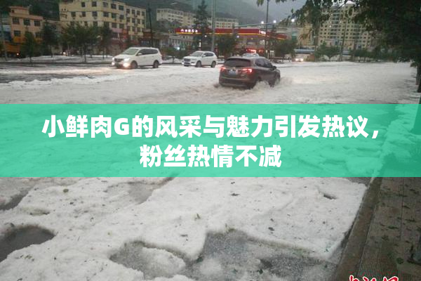 小鲜肉G的风采与魅力引发热议，粉丝热情不减