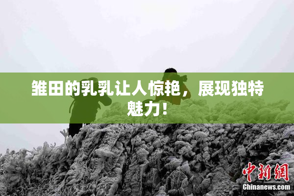 雏田的乳乳让人惊艳，展现独特魅力！