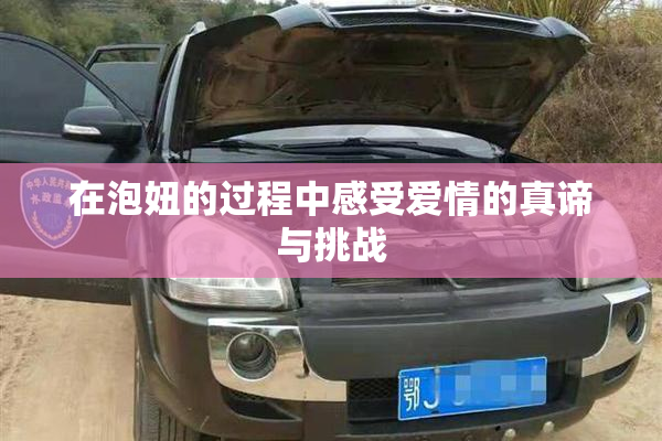 在泡妞的过程中感受爱情的真谛与挑战