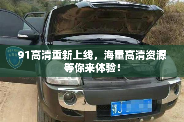 91高清重新上线，海量高清资源等你来体验！
