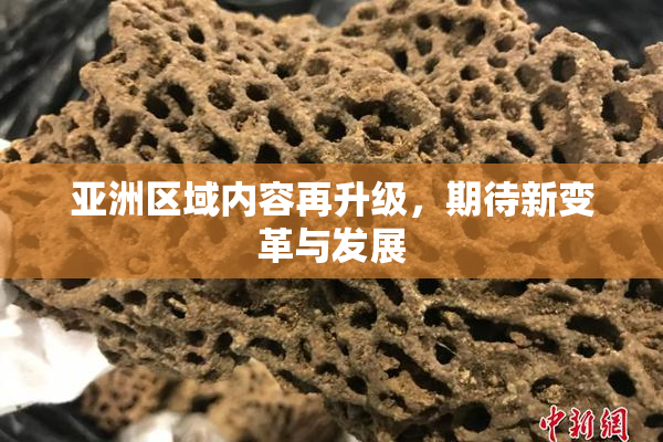 亚洲区域内容再升级，期待新变革与发展