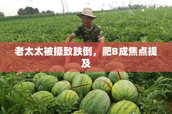 老太太被搡致跌倒，肥B成焦点提及
