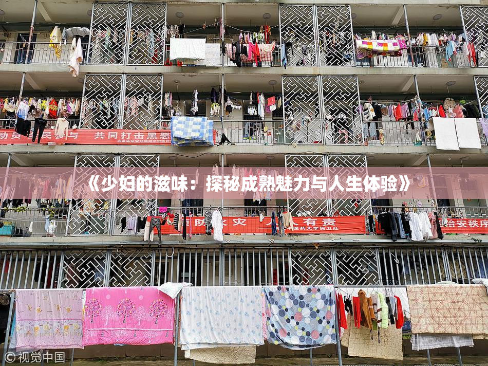 《少妇的滋味：探秘成熟魅力与人生体验》