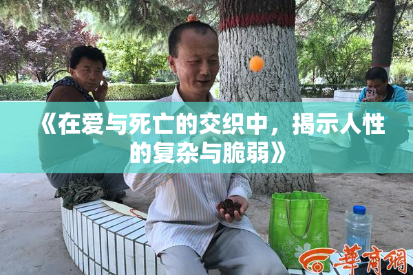 《在爱与死亡的交织中，揭示人性的复杂与脆弱》