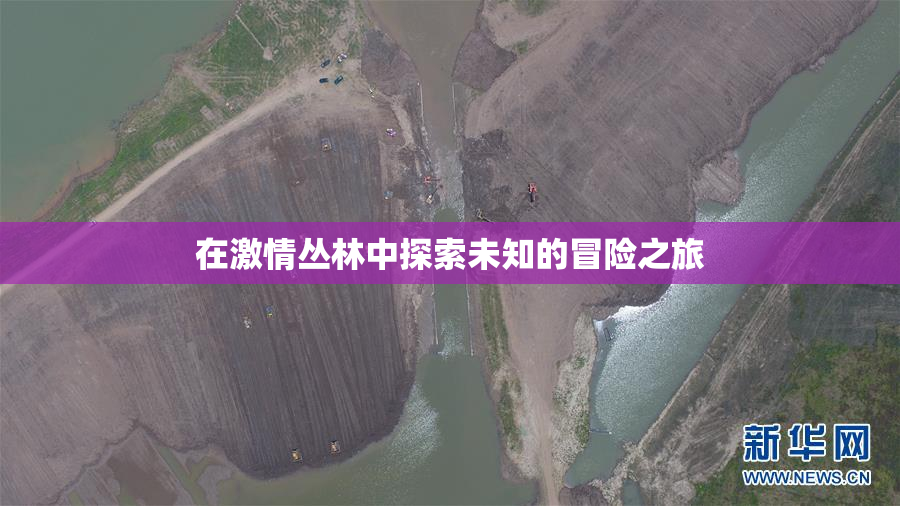 在激情丛林中探索未知的冒险之旅