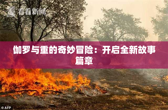 伽罗与重的奇妙冒险：开启全新故事篇章