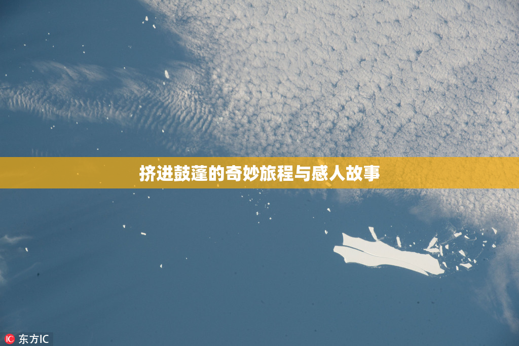 挤进鼓蓬的奇妙旅程与感人故事
