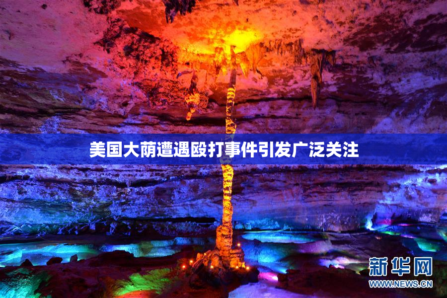 美国大荫遭遇殴打事件引发广泛关注