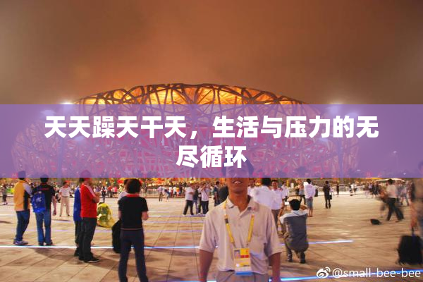 天天躁天干天，生活与压力的无尽循环