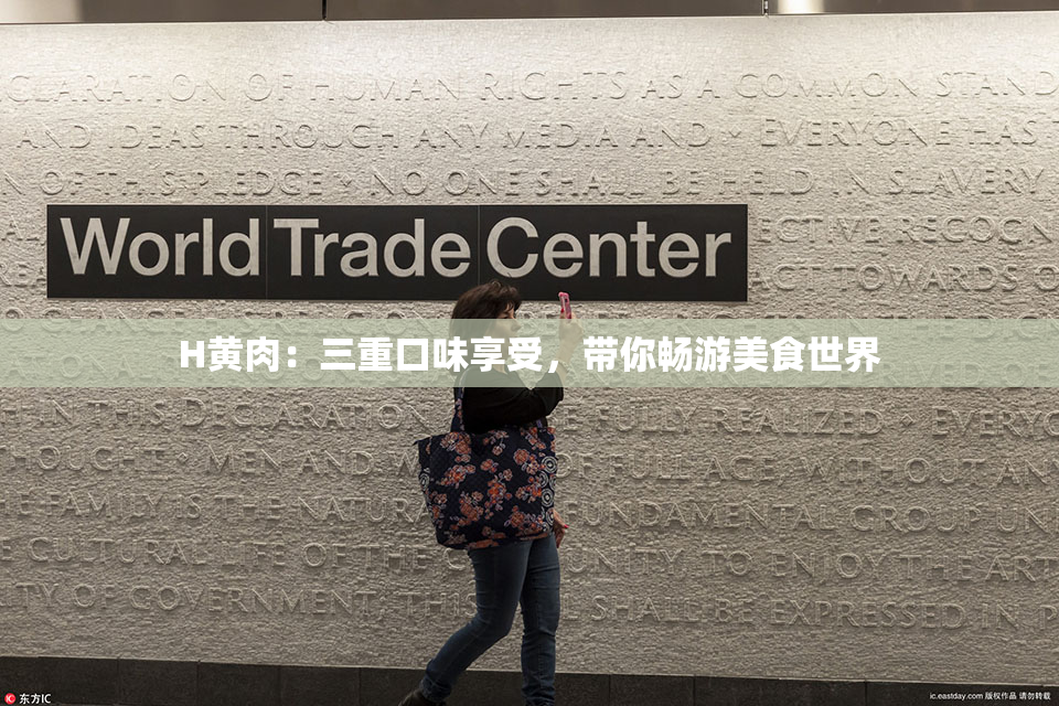 H黄肉：三重口味享受，带你畅游美食世界