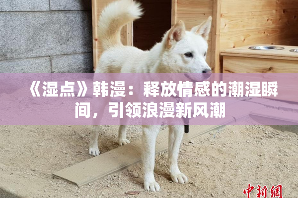 《湿点》韩漫：释放情感的潮湿瞬间，引领浪漫新风潮