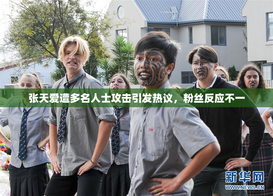 张天爱遭多名人士攻击引发热议，粉丝反应不一