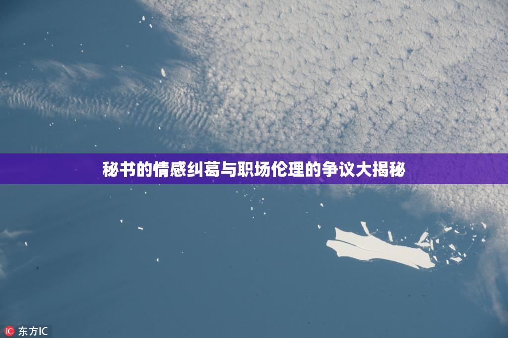 秘书的情感纠葛与职场伦理的争议大揭秘